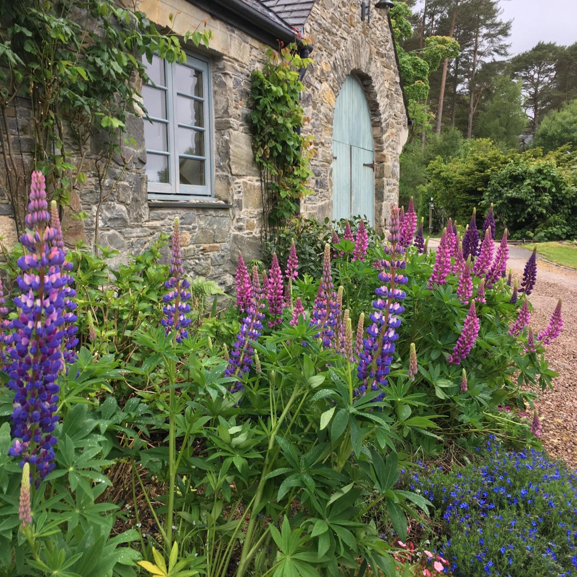 The Smiddy Villa Lochailort Exterior photo